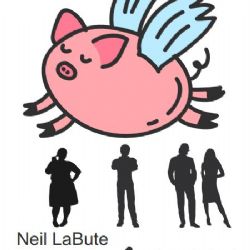 Premiéra nové hry sokolovských ochotníků se vydařila