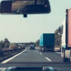 Při kontrole s celníky zjistili veterinární inspektoři závadu u 30 procent zásilek živočišných produktů