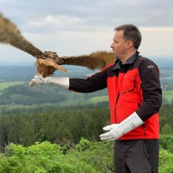 Příběh jednoho výra se šťastným koncem