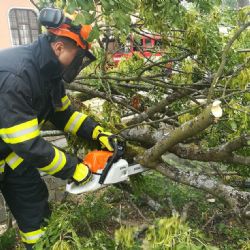 Příroda si hraje. Nejdřív hořící pole, hned poté popadané stromy a zatopené ulice