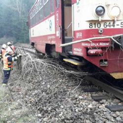 Pšov: Vlak narazil do stromu