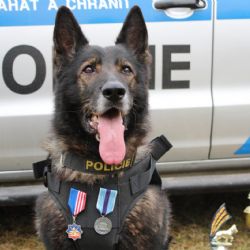 Region: Adag odchází do zaslouženého důchodu