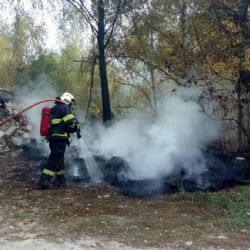 Region: Babí léto přináší i požáry trávy a lesních porostů