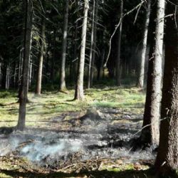 Region: Během víkendu hasiči likvidovali několik požárů lesního porostu