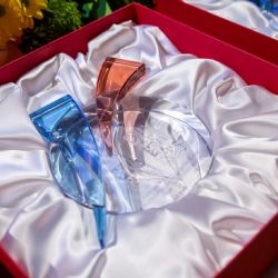 Region: Byla vyhlášena anketa Senior roku 2021