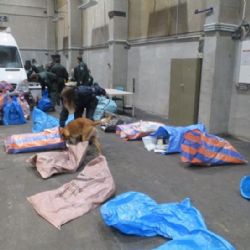 Region: Celníci zajistili drogy v hodnotě téměř 900 tisíc korun