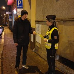 Region: Dopravní akce byla zaměřena na chodce