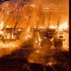 Region: Dvě události - požár ovčína a lesa