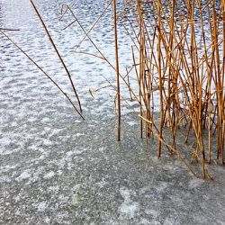 Region: Hasiči varují! Pozor na nedostatečně zamrzlé vodní plochy