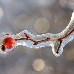 Region: Meteorologové opět varují před ledovkou