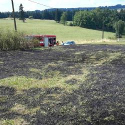 Region: Od začátku června zasahovali hasiči u téměř 60 požárů trávy či lesního porostu
