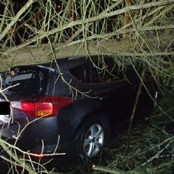 Region: Popadané stromy poškodily zaparkovaná auta