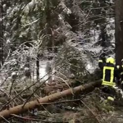 Region: Silný vítr vyvracel stromy