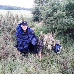 Region: Služební pes Hazard vypátral vězně na útěku