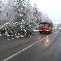 Region: Stromy blokovaly silnice