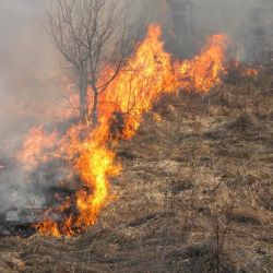 Region: V důsledku sucha hrozí nebezpečí vzniku požárů 