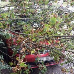 Region: V souvislosti s větrem zasahovali hasiči u čtyř desítek událostí