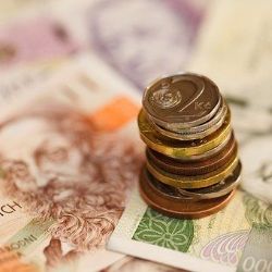 Region: V žádostech o dotaci uvedli nepravdivé údaje. Škoda 16 milionů