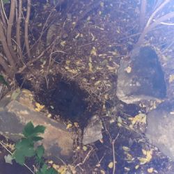 Region: Zloděj z vlaku dopaden