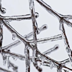 Řidiči pozor! Silnice Luby - hraniční přechod je uzavřena