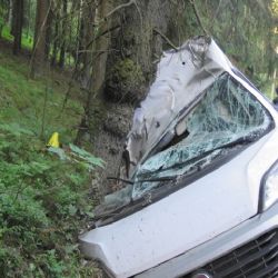 Jindřichovice: Narazil s vozidlem do stromu