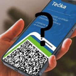 Rozdělená společnost