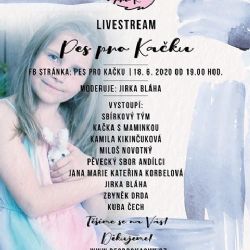 Sbírka Pes pro Kačku byla úspěšná