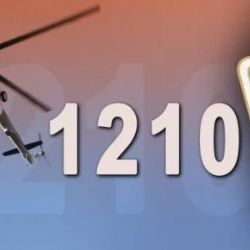 Seniorka s vážnými následky uštknutí