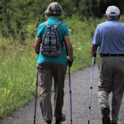 Seniorům kraj nabídne semináře o zdraví a správné životosprávě