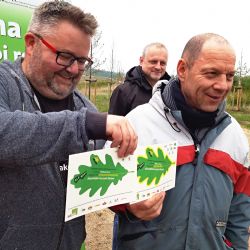 Sokolov: Alej přátelství je oficiálně Alejí roku 2018