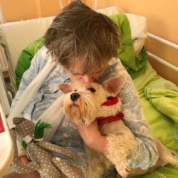 Sokolov: Apina je český šampión a zároveň léčí klienty v nemocnici