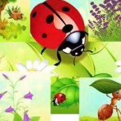 Sokolov: Bezzásahové louky jsou plné života i zvuků