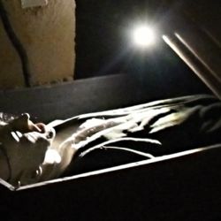 Sokolov: Bojíte se rádi? Muzeum pořádá noční prohlídku výstavy Dracula a ti druzí