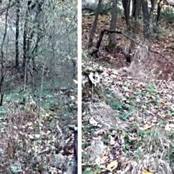 Sokolov: Bývalá vodní nádrž bude zase plnit původní funkci