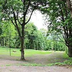 Sokolov: Další část lesoparku pod Hardem prokoukla