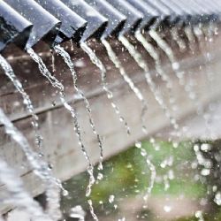 Sokolov: Dešťová voda má v ZŠ Běžecká sloužit k zalévání