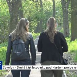 Sokolov: Druhá část lesoparku pod Hardem projde revitalizací (TV Západ)