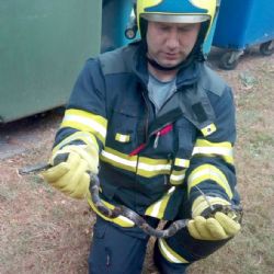 Sokolov: Hasiči pomáhali při odchytu hada