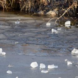 Sokolov: Hasiči zachránili desetiletého chlapce ze zamrzlého rybníku