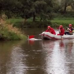 Sokolov: Hasiči zachránili poraněné labutí mládě