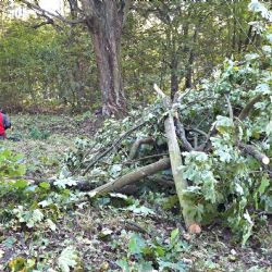 Sokolov: Lesopark pod rozhlednou Hard čekají další úpravy