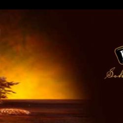 Sokolov: Letošní den Horníků bude opět s Horňákem