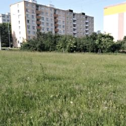 Sokolov: Luk bez pravidelné seče bude zase o něco více