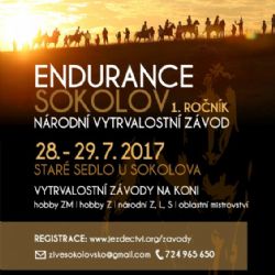 Sokolov: Město protnou spanilé závody na koních Endurance