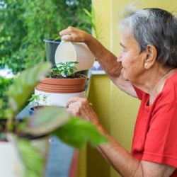 Sokolov: Město usiluje o lepší život seniorů
