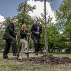Sokolov: Město vysadilo lípu. Uctilo 100. výročí vzniku republiky