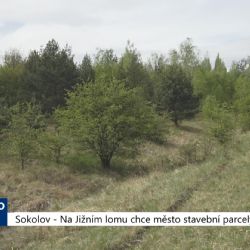 Sokolov: Na Jižním lomu chce město stavební parcely (TV Západ)