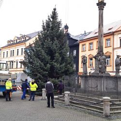 Sokolov: Na Starém náměstí už stojí vánoční strom