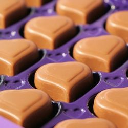 Sokolov: Odcizil počítač, lahve s alkoholem i cukrovinky