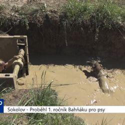 Sokolov: Proběhl 1. ročník Bahňáku pro psy (TV Západ)